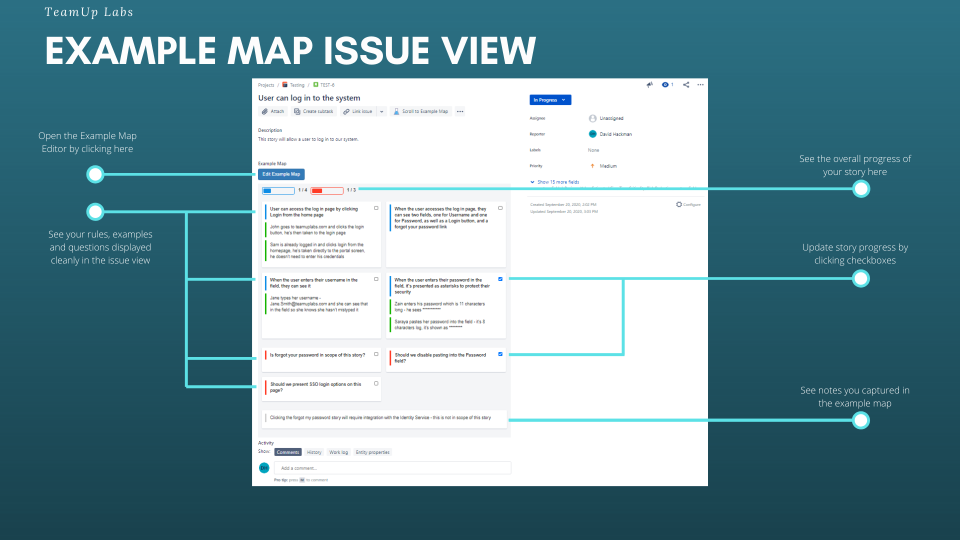 Example Map Issue View